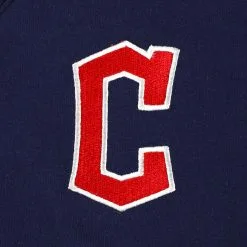 Women's Cleveland Guardians DKNY Sport Navy Lily V-Neck Pullover Sweatshirt -St. Louis Cardinals Sales 2023 womens dkny sport navy cleveland guardians lily v neck pullover sweatshirt ss5 p 5083262pv 5u 97i2vvmgjqod1d5vrwinv swprnltdg4zu4pnawhsr