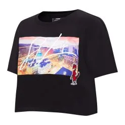 Women's St. Louis Cardinals Pro Standard Black Cityscape Boxy T-Shirt -St. Louis Cardinals Sales 2023 womens pro standard black st louis cardinals cityscape boxy t shirt ss5 p 5151609pv 2u yvuj4l5zcfxdsmdgubttv qgah0y2nfkk0fsrosfjn