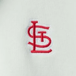 Women's St. Louis Cardinals The Wild Collective Light Blue Two-Hit Quarter-Zip Pullover Top -St. Louis Cardinals Sales 2023 womens the wild collective light blue st louis cardinals two hit quarter zip pullover top pi4612000 altimages ff 4612960 37d263dff96029c7c431alt5 full